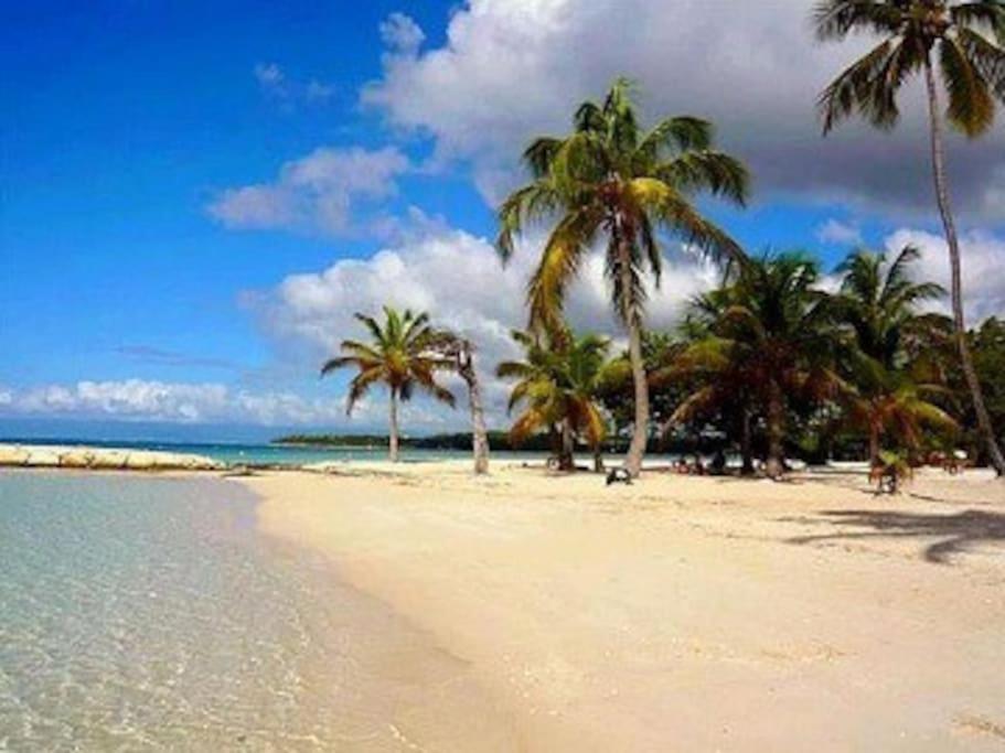 LA PLAYA - L'Appartement COZY - 2 à 5 personnes Sainte-Anne (Grande-Terre) Exterior foto